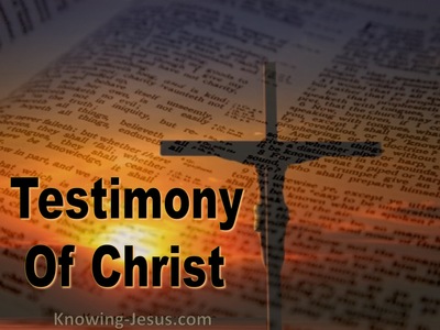 Testimony Of Christ - Perfect MAN Eternal SON (13)
